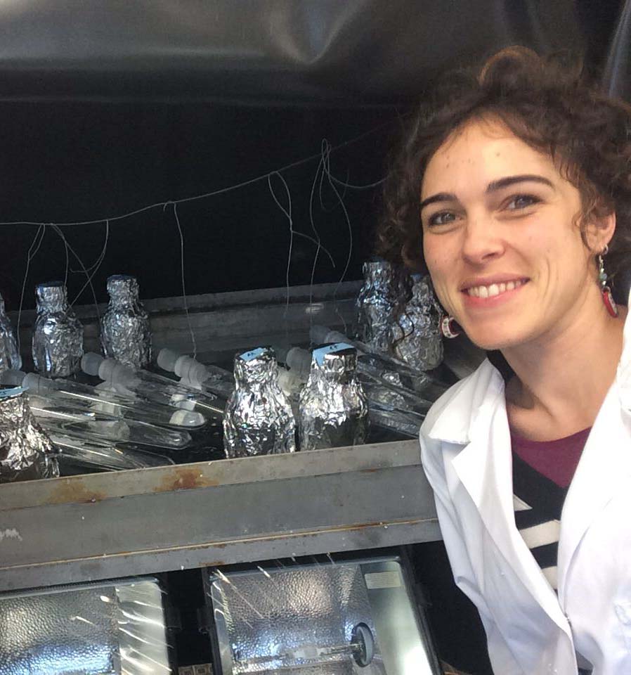 plasmar_cris_lab