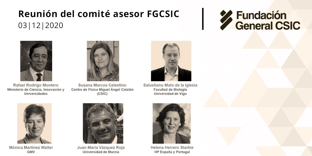 Reunión del Comité Asesor de la FGCSIC