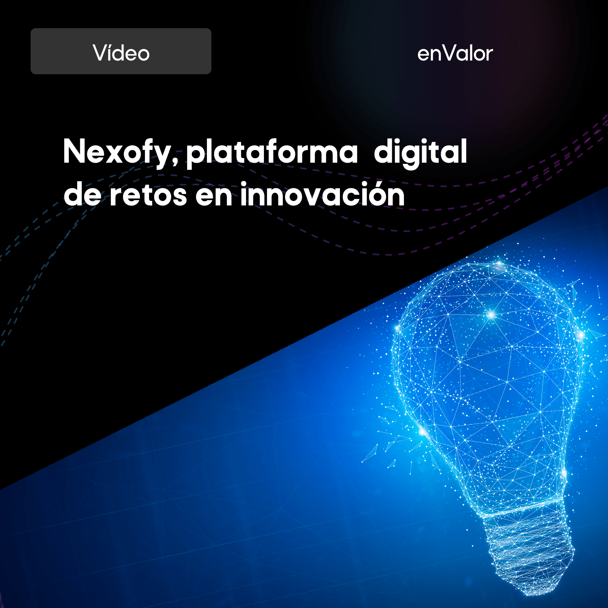 Nexofy, plataforma digital de retos en innovación