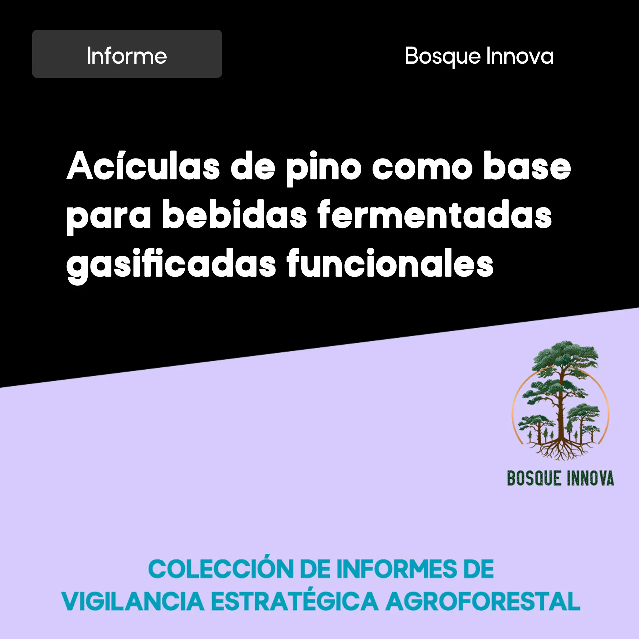 xmit-physics-world-breakthrough