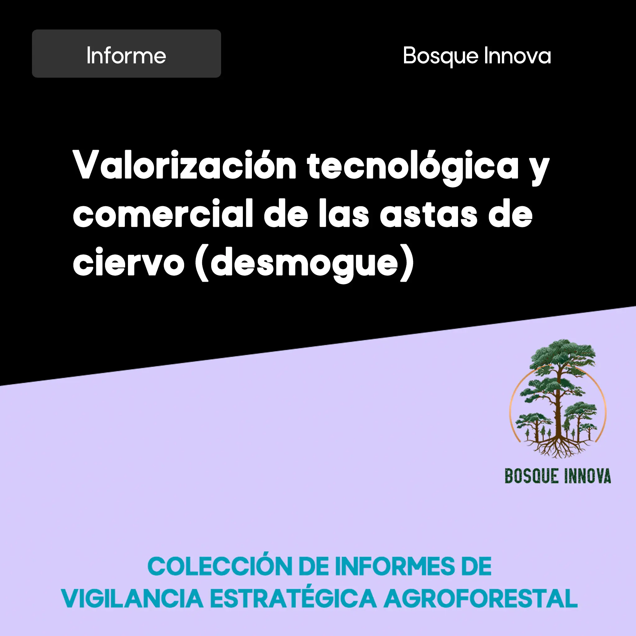 xmit-physics-world-breakthrough